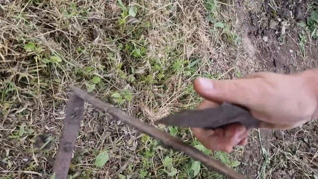 как дела в огороде?