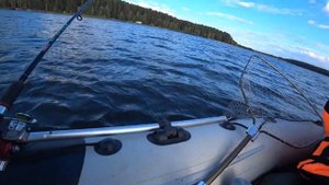 Щука на 3 кг.Осень радует.Верхне-Сысертское водохранилище.