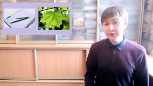 1  Загадки мнимой единицы