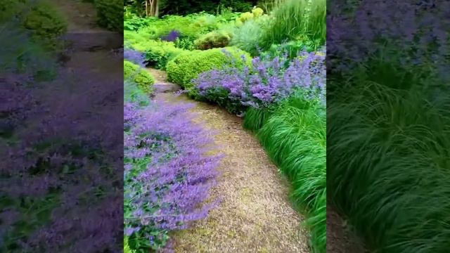 Walk along a winding gravel path, garden