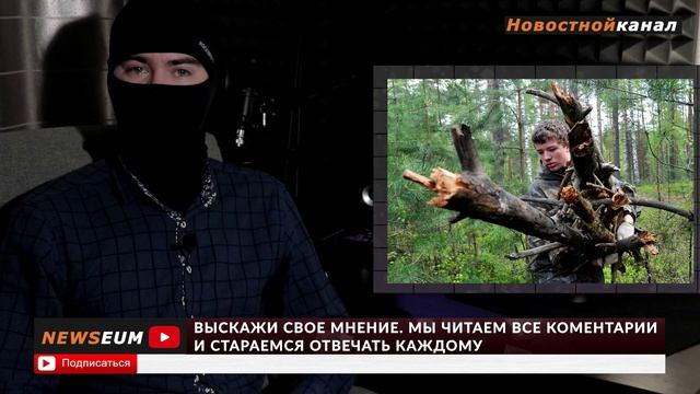 Сбор валежника в 2025. Сбор валежника в 2025