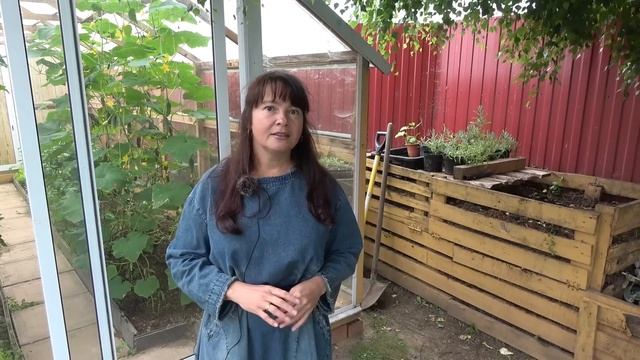 Июльский сад в Подмосковье. Цветение роз, гортензий, лаванды... Уход за растениями в июле.