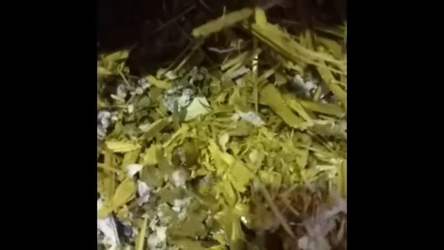 Шредер модели "Нетмус-3" для крупногабаритных отходов