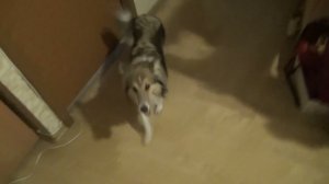 Лета и стирка3 относит чистые вещи   2021