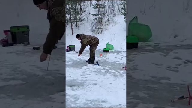 По люду уверенно бегают на ТУРНИРЕ по ловле ФОРЕЛИ! РЫБА активна себя ведёт! KING FISH! #shorts