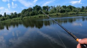 Ловля щуки на джиг с берега. Рыбалка на спиннинг в августе на реке.