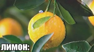 АААААААААААААА - в разных местах