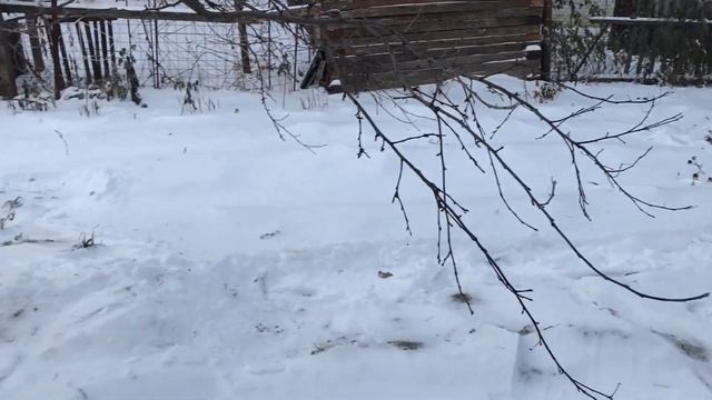 Зачем очищать теплицы из поликарбоната от снега/Подготовка сада огорода к зиме
