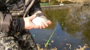 Клёв Окуня в октябре 2021.Рыбалка в Екатеринбурге.