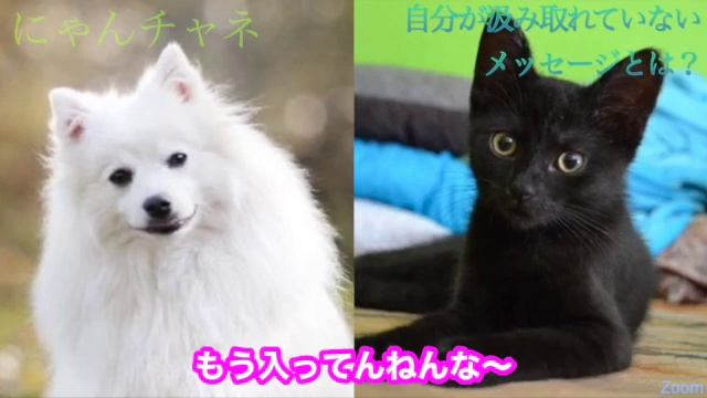 自分が汲み取れていないメッセージとは？ смотреть онлайн