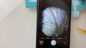 Полный гайд по использованию фолдскопа