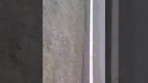 Деревня Масляха