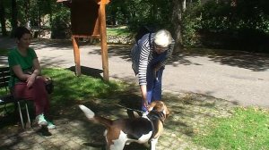 Бад Вильбад. 2018г.mp4