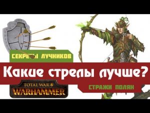 Стрелы Стражей полян Warhammer Total War