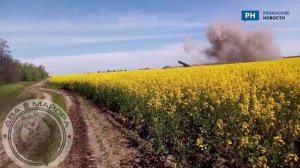 Мобилизованные из Рязани передали большой привет из зоны СВО