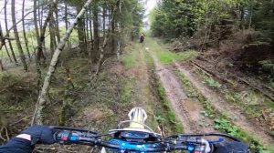 По лайту на Avantis 300 Pro EFI 2020 / Forsage 450 / Avantis 300 Pro Carb FCR