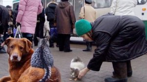 Доброта. Д Дунаев . Н Дроздов, Ю Куклачев, К Манешина