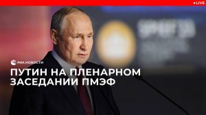 Путин на пленарном заседании ПМЭФ