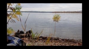 Лодка Скат 350 НДНД +Меркурий 9.9 (15 л.с.)