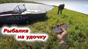 Рыбалка на удочку: Начало лета Сорога Окуни и Классный Клёв!