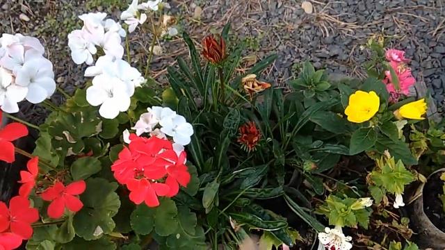 Особенности продажи в деревне смотреть онлайн