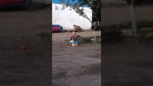 Прикол дети бой за игрушку