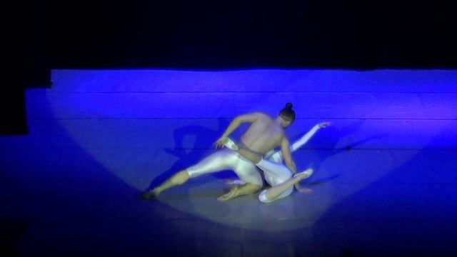 Лебединая верность смотреть онлайн