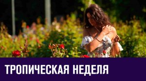 Неделя тропической жары - Прогноз Погоды/Москва FM