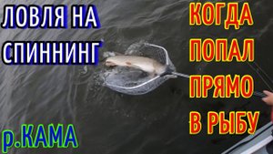 КРУПНАЯ ЩУКА с первого заброса! Ну, так бывает!
