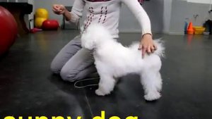 Свободная стойка делаем баланс  уроки ринговой подготовки хендлинга