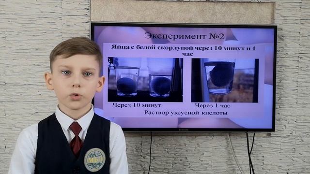 11-ая областная экологическая конференция младших школьников «Первые шаги в экологию» смотреть онлайн