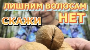 ЗОЛА ГРЕЦКОГО ОРЕХА ИЗБАВИТ ВАС ОТ ЛИШНИХ ВОЛОС! | Как Избавится от ненужных волос