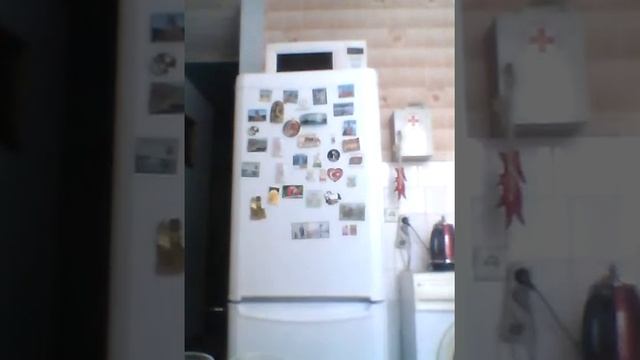 Как приготовить фруктовый лед? Очень просто))