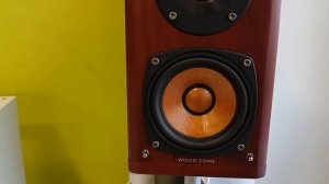 Teac AI 503 + JVC SX-WD5