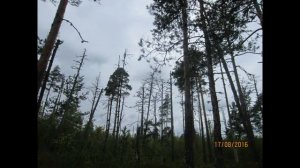 Озеро Вялье