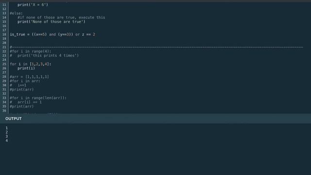 Programming Essentials: Loops and Conditionals