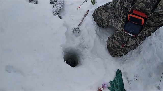 ЛОВЛЯ ФОРЕЛИ НА ИКРУ. ОНА ПРОДОЛЖАЕТ КЛЕВАТЬ)))) смотреть онлайн