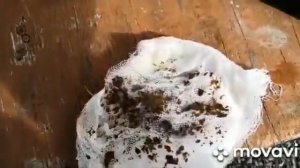 Промываю радиатор печки на Mazda Familia не снимая его