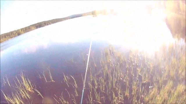 fiske #2 Öring 1,5 kg смотреть онлайн