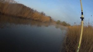 Рыбалка на ЧЕРВЕЙ-ГИГАНТОВ выползков. Сазан и гиганские караси.