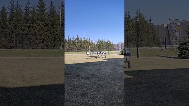 1000000875.mp4 смотреть онлайн