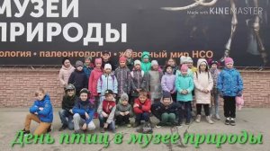 День птиц в музее природы