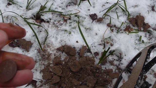Лесной коп с Русланом. Сергиево - Посадский район. Разведка.