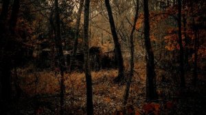 Сталкер топ релакс фм  музыка  Подпишись не пропускай новинки #stalker  #релакс