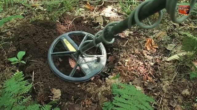 НАШЁЛ КЛАД ЗОЛОТЫХ И СЕРЕБРЯНЫХ МОНЕТ !!! смотреть онлайн