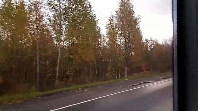 Автобус 327. А/с «Улица Грибакиных» - г. «Колпино», Заводской проспект.