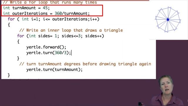 Programming Challenge: Turtle Snowflakes - Learn to Teach Java:   Boolean Expressions, If