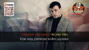 Александр Дюмин - Пили водочку (Караоке)