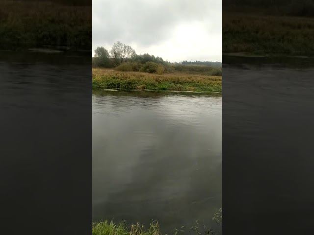 23 сентября 2022 г. смотреть онлайн