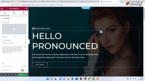 How to Install a PREMIUM WordPress Theme Complete with Auto Import Demo